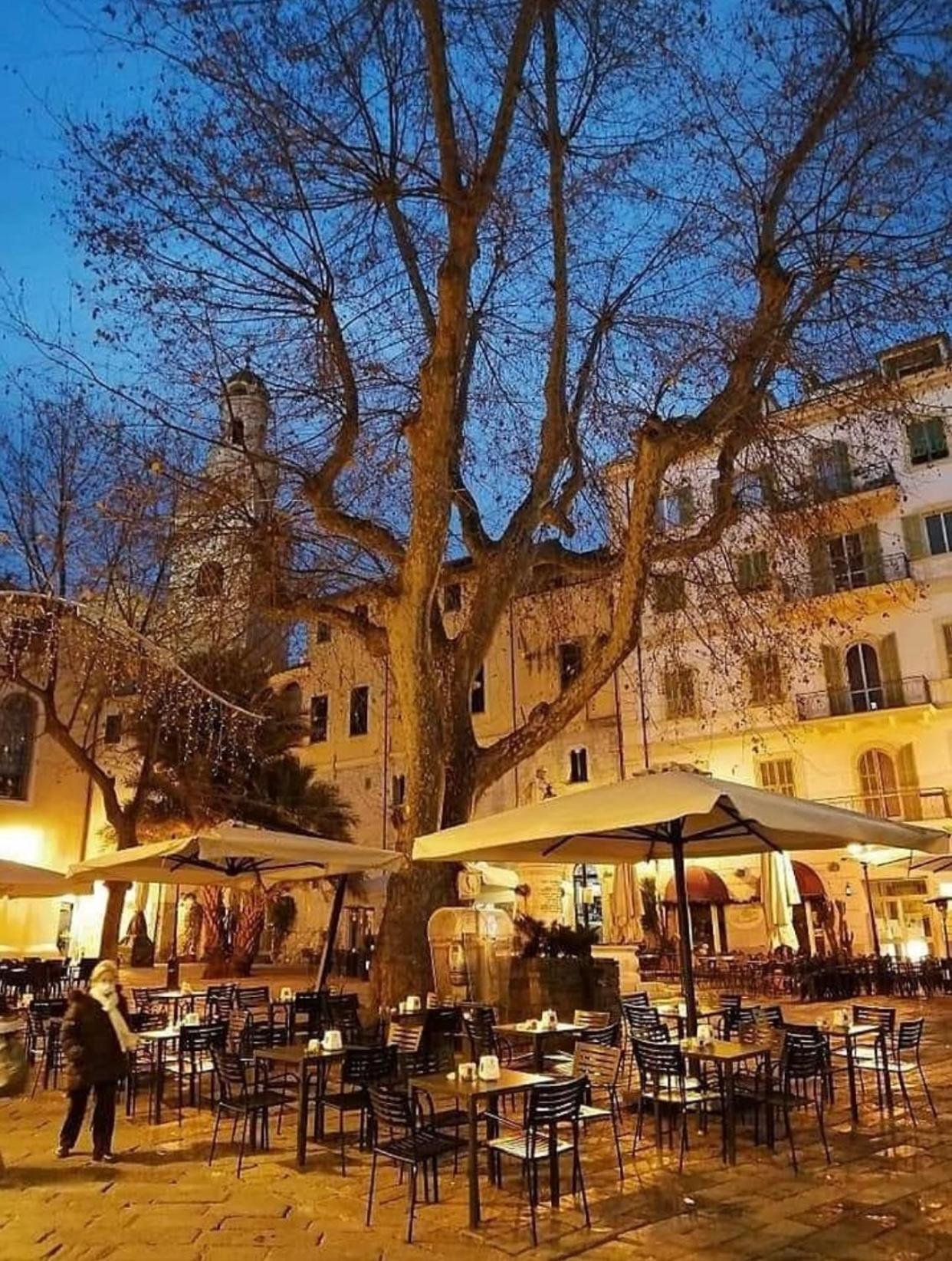 Casa Girasole Sanremo Centro Lägenhet Exteriör bild